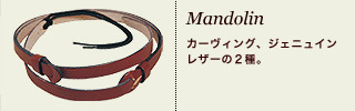 Mandolin